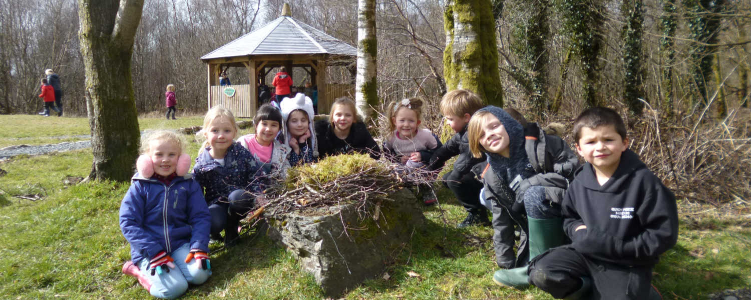 children learning about trees