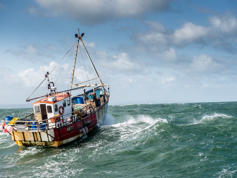 Boat at sea.